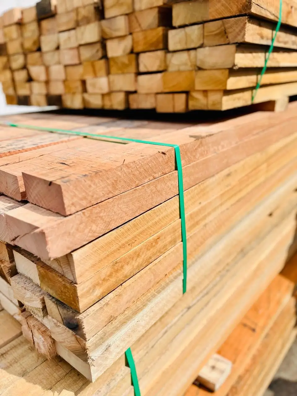 Vigamentos e Pranchas Eucalipto